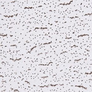 Tatra Ceiling Tile